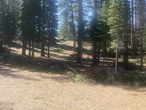 4 Falcon Ridge, Clio, CA 96106