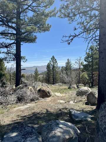 434-100 Diamond Mountain Road, Doyle, CA 96109