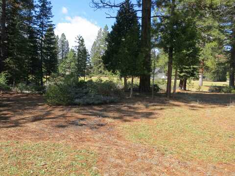 533 Dinsmore Drive, Lake Almanor, CA 96137