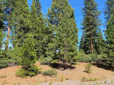 111 Treetop Circle, Lake Almanor, CA 96137