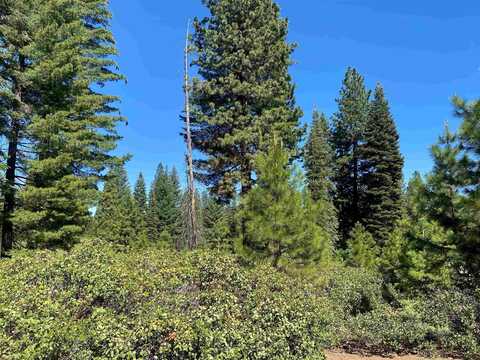 130 Winterwood Drive, Lake Almanor, CA 96137