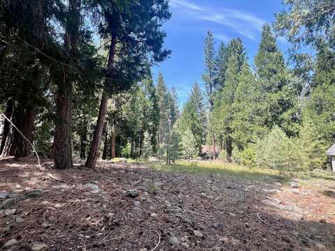 80 Paiute Trail, Graeagle, CA 96103