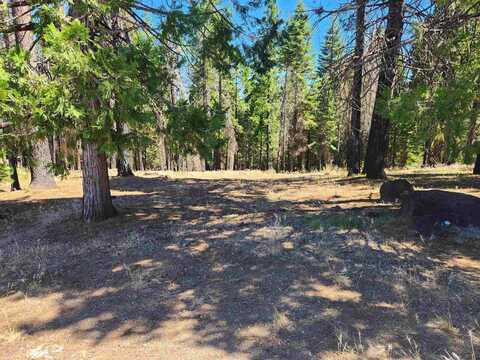 135 Goose Bay View Trail, Wiest, CA 96020