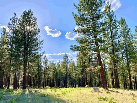 502 Deer Trail, Clio, CA 96122