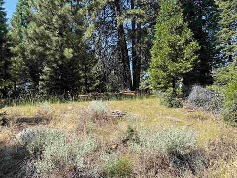 1218 Lynx Road, Lake Almanor, CA 96137