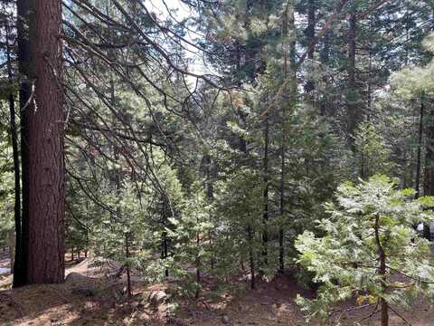 530 Bailey Creek Drive, Lake Almanor, CA 96137