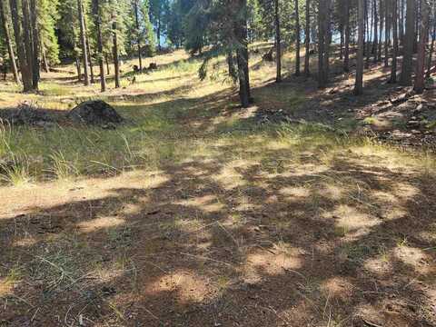 110 Marion Trail, Wiest, CA 96020