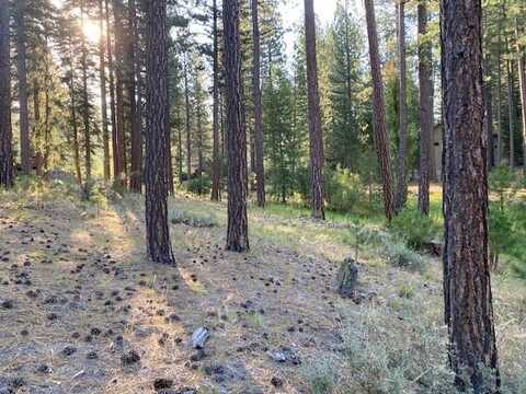 235 Black Bear Trail, Clio, CA 96106