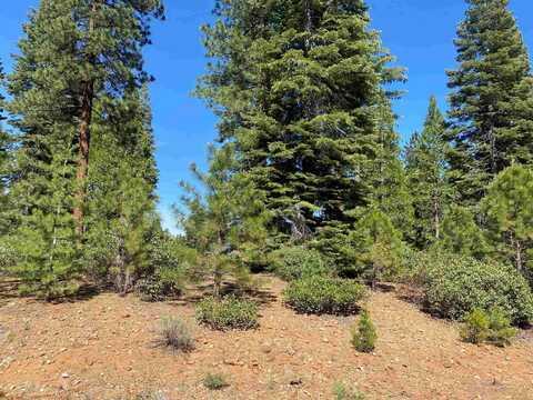 87 Treetop Circle, Lake Almanor, CA 96137