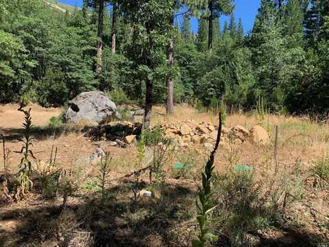 103 Lewis Lane, Sierra City, CA 96125