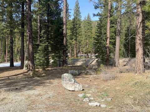 141 Hawk Ridge, Clio, CA 96106