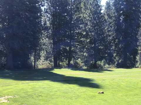 527 Red River Drive, Lake Almanor, CA 96137