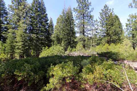 586 Bailey Creek Drive, Lake Almanor, CA 96137