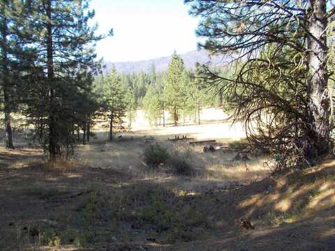 1454 Greenville Wolf Creek Road, Greenville, CA 95947