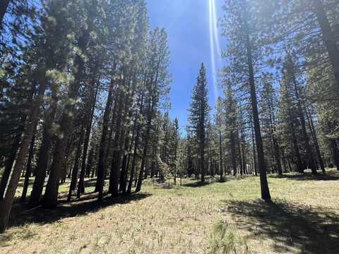 225 Gold Nugget Lane, Graeagle, CA 96103