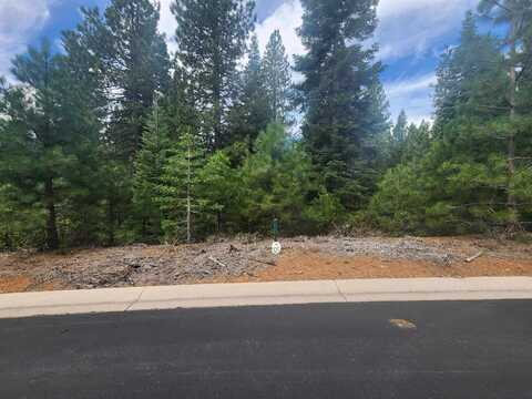 172 Fox Crest Drive, Lake Almanor, CA 96137