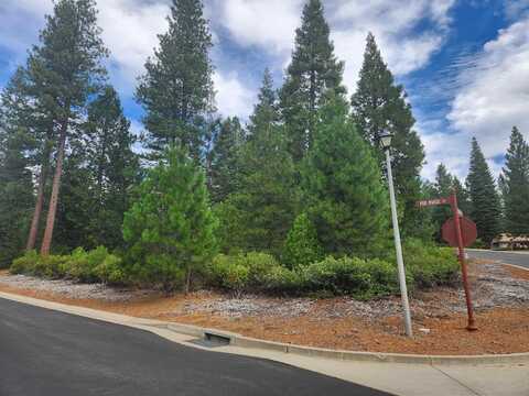 190 Fox Pine Drive, Lake Almanor, CA 96137