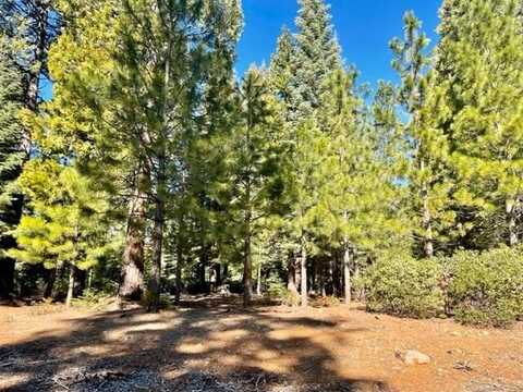 162 Blue Fox Drive, Lake Almanor, CA 96137