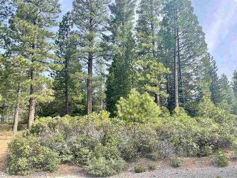 115 Red River Drive, Lake Almanor, CA 96137