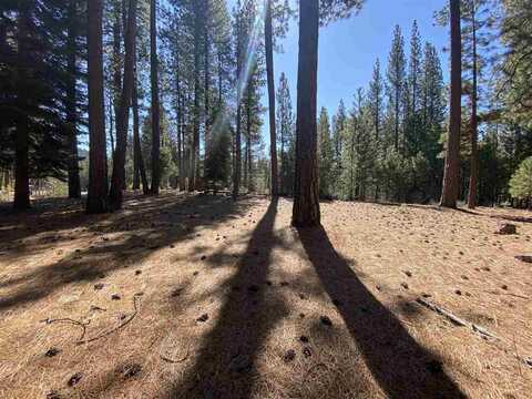 738 Miner's Passage, Clio, CA 96106