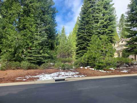 118 Fox Pine Drive, Lake Almanor, CA 96137