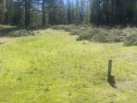 26 Falcon Ridge, Clio, CA 96106