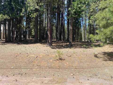 615 E Mountain Ridge Road, Lake Almanor, CA 96137