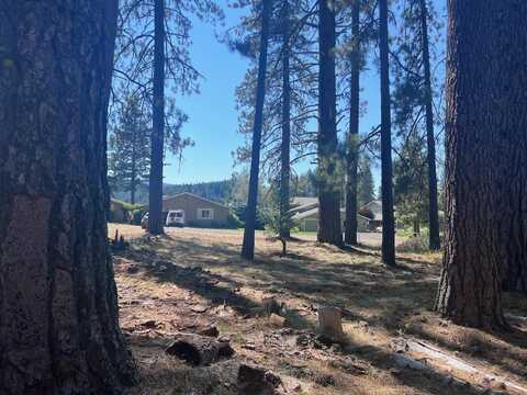 425 Lundy Lane, Blairsden, CA 96103