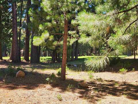 314 Maidu Drive, Wiest, CA 96020