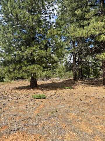 55 Creekhaven Drive, Lake Almanor, CA 96137