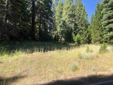 1222 Lynx Road, Lake Almanor, CA 96137