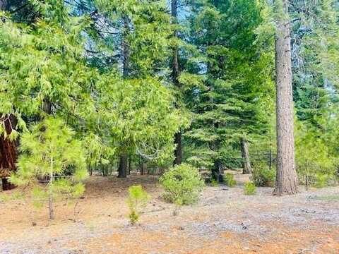 357 Cascade Fir Lane, Lake Almanor, CA 96137