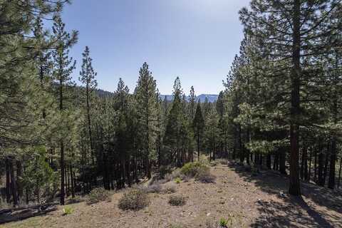 924 Dancing Bears, Clio, CA 96106