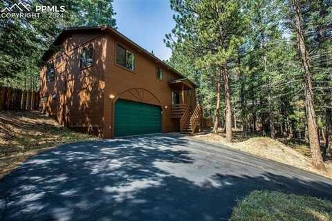 1151 Spruce Ridge Lane, Woodland Park, CO 80863