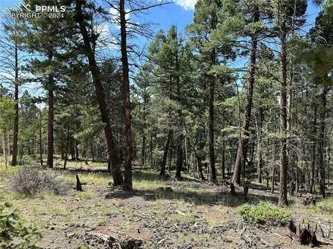 671 Pinewood Road, Florissant, CO 80816