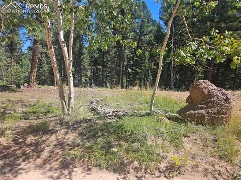 2725 N Mountain Estates Road, Florissant, CO 80816