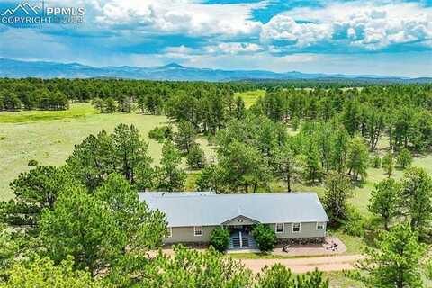 1190 Doe Valley Road, Guffey, CO 80820