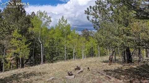 1058 Bennett Drive, Cripple Creek, CO 80813