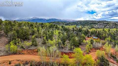 1693 Golden Cycle Circle, Cripple Creek, CO 80813