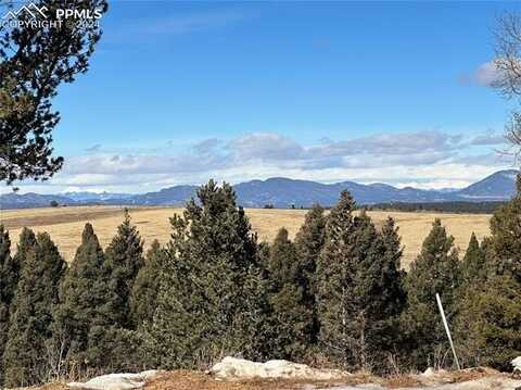 4600 Elk Valley Road, Divide, CO 80814