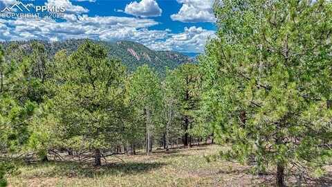 24 Wild Horse Circle, Cripple Creek, CO 80813