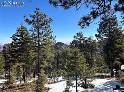 91 Ponderosa View, Manitou Springs, CO 80829