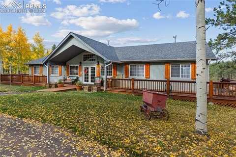 266 University Drive, Woodland Park, CO 80863