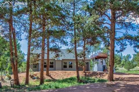 2270 Pikes Peak Drive, Florissant, CO 80816