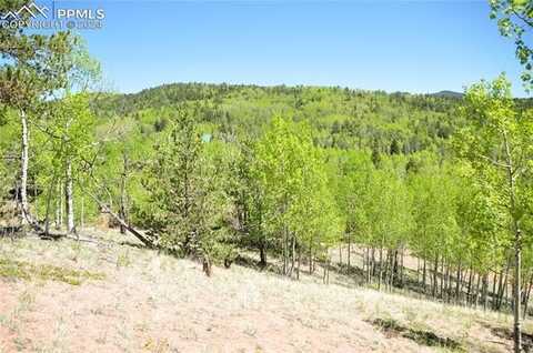 81 Strong Court, Cripple Creek, CO 80813