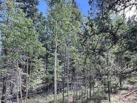 437 Sunset Lane, Cripple Creek, CO 80813