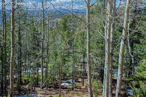 336 Witherite Drive, Divide, CO 80814