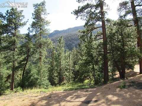 213 Coffee Pot Road, Manitou Springs, CO 80829