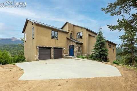 239 Wildlife Point, Divide, CO 80814