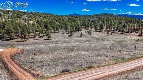 150 High Pasture Road, Florissant, CO 80816